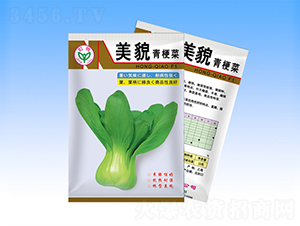 ��ò-�๣�˷N��-�����N�I