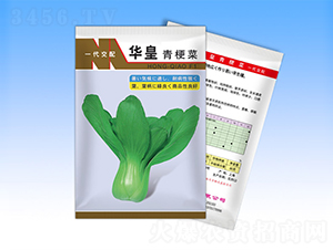 �A��-�๣�˷N��-�����N�I