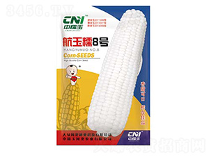 航玉糯8號-糯玉米種子-鑫大綠