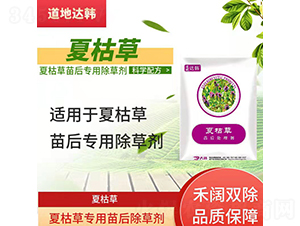 �Ŀݲ݌��������݄�-�����_�n