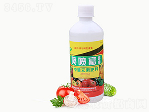 �Ϲ��͸����~����-������-�F�˭h��