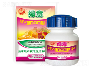 �����ڌ����~���-�G��-���