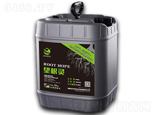 �����`-���垳