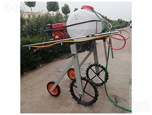 �ַ�����ʽ��ˎ�C(3)-����Cе