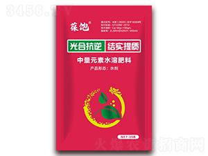 光合抗逆結(jié)實提質(zhì)-葆飽-向上農(nóng)科