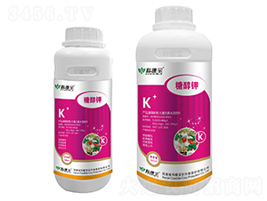 �Ǵ��-�Ƶ�