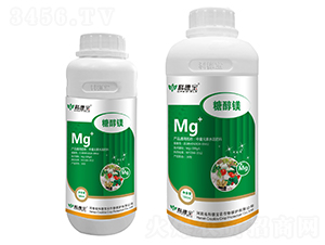 �Ǵ��V-�Ƶ�