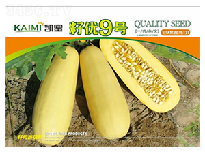 �у�(y��u)9̖-�����J�N��-����N�I(y��)