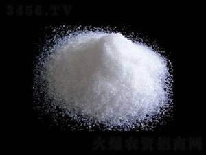 �����V-�r�ѻ���