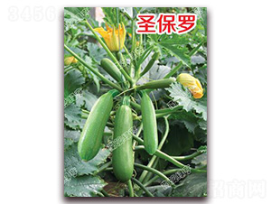 ʥ���_-�����J�N��-�ϰľG��