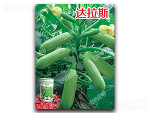 �_��˹-�����J�N��-�ϰľG��