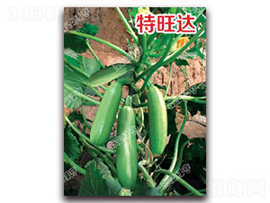 �����_-�����J�N��-�ϰľG��