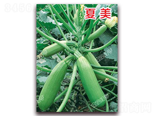 ����-�����J�N��-�ϰľG��