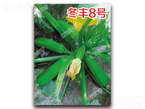 ���S8̖-�����J�N��-�ϰľG��