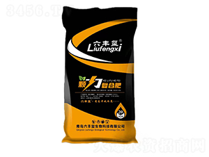 �w����(f��)�Ϸ�-���S�t