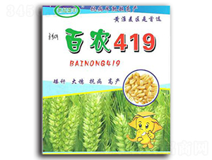 ���r419-С���N��-���S�N�I