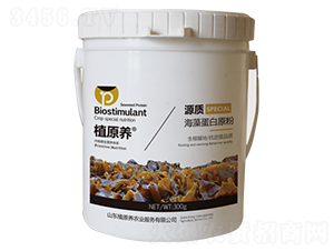 海藻蛋白原粉-源質(zhì)-植原養(yǎng)農(nóng)業(yè)