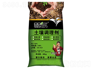 �����{�턩-�۠�