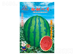 ����̖-���ϷN��-�����r�I