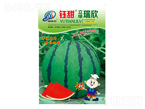 ���G����-���ϷN��-���-�����r�I