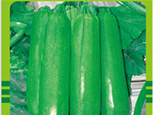 �W¹��̖-�S�ϷN��-�����r�I