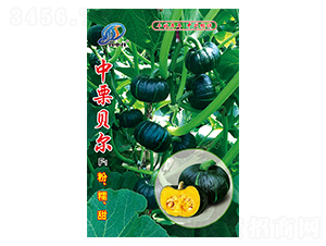 ����ؐ��-�ϹϷN��-�����r�I