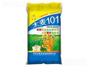 太麥101-小麥種子-沃育農業