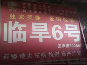 �R��6̖-С���N��-�����r�I