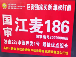 ��������186-С���N��-�����r�I