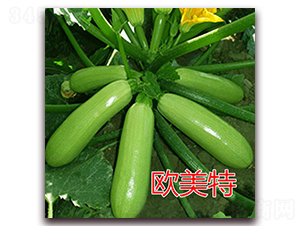 �W����-�����J�N��-�|�Z�r�I