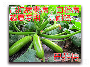 �ͷ���-�����J�N��-�|�Z�r�I