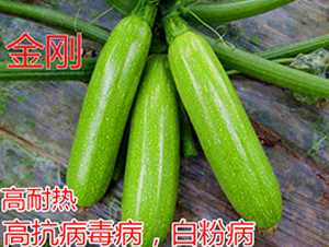 ����-�����J�N��-�|�Z�r�I