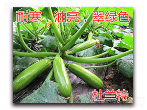 ���m��-�����J�N��-�|�Z�r�I