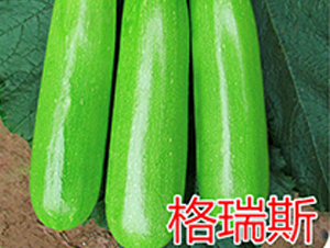 ����˹-�����J�N��-�|�Z�r�I