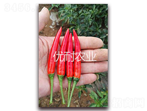 泰椒1102-辣椒種子-優耐農業