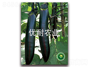 優耐墨茄1016-茄子種子-優耐農業