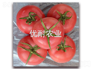 利格萊特-番茄種子-優耐農業