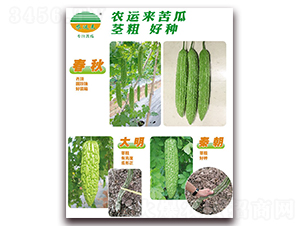 ����+����+�س�-��ϷN��-�r�\��