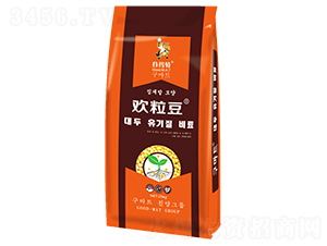 �g����-�G���r�I