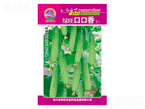 �G���ڿ���-��ɽ�G��-�G���r�I