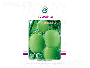 �G���϶��-��ɽ�G��-�G���r(n��ng)�I(y��)