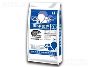 �����{�턩-����I�B-����̼