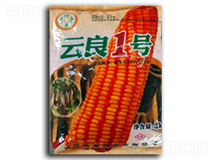 ����1̖-��Ȫ�N�I