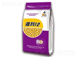 塿�12-�󶹷N��-�����r�I