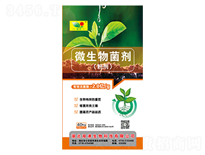 �ۄ�΢�������-�p������