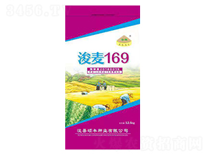 ����169-С���N��-�T�S