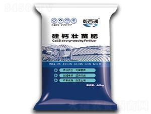 ���}�����-ʥ������