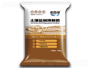 �����}�A�����-ʥ������