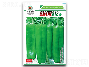 ���L818-�����N��-�߿ƷN�I