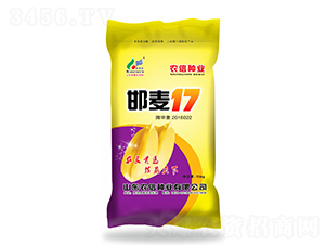 邯麥17-小麥種子-農信種業